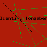 identify longaberger baskets