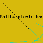 basket weaving cabbage palms
