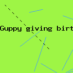 hostes gifts baby shower
