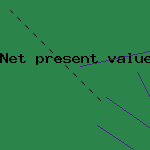 net present value method
