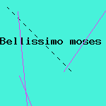 hot christmas present
