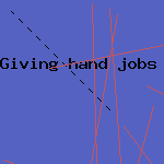 shopping basket dog seat
