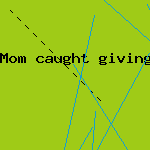 shopping basket dog seat
