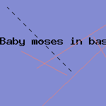 washable wicker display basket