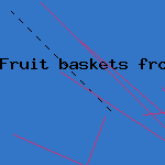 dogs giving birth videos
